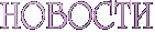 Новости