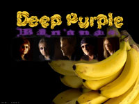 Wall-paper for Windows Desktop