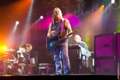 deep-purple-3.jpg